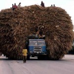 11111600_999749266702181_8049737309629950570_n