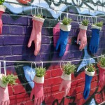 Dai diamanti non nasce1.jpeg Dai diamanti non nasce1.jpeg